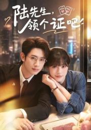 陆先生，领个证吧